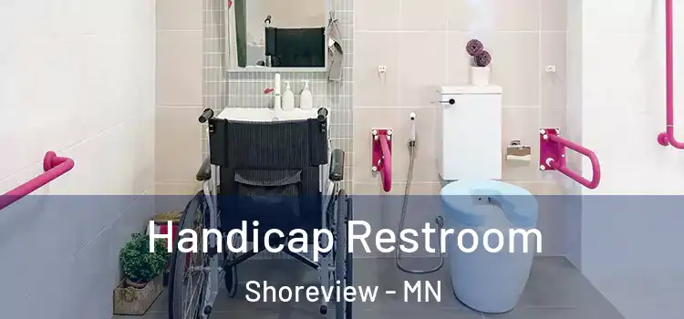 Handicap Restroom Shoreview - MN
