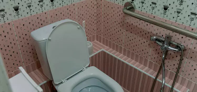 Meeting Diverse Needs With Accessible Restroom Solutions in Shoreview, MN